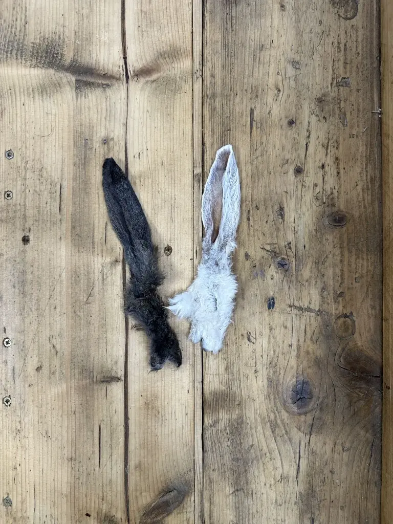 Oreille de lapin poilues lot de 2.webp