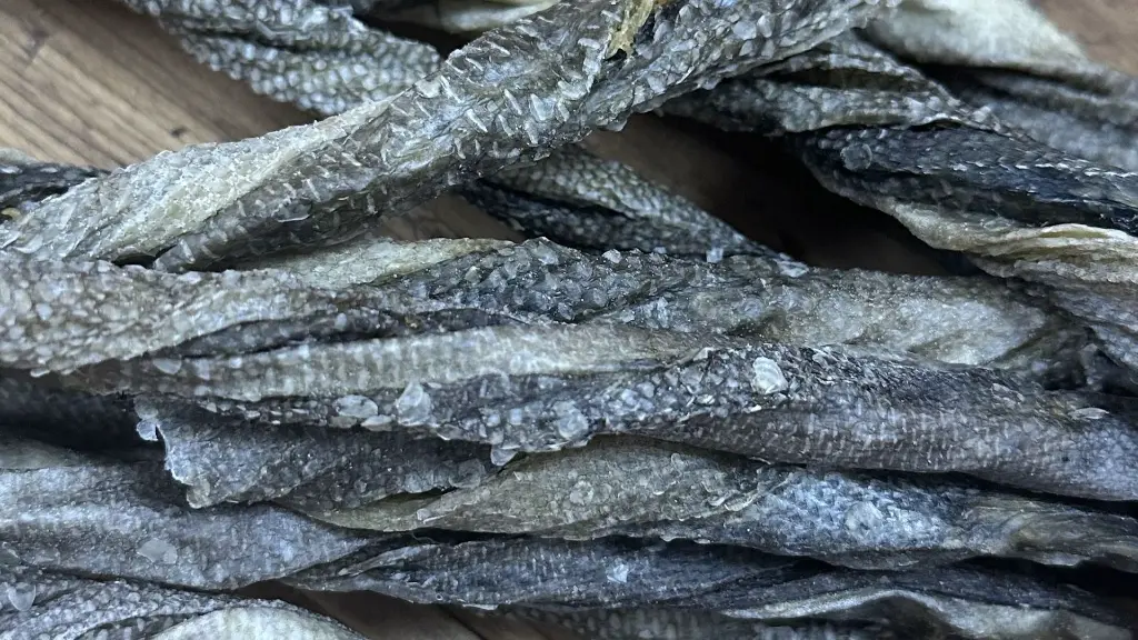 POISSON TWIST ZOOM 8.webp