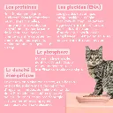 Pâtée chaton 3.webp