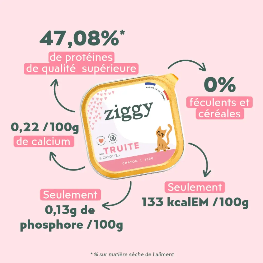 Pâtée chaton 2.webp