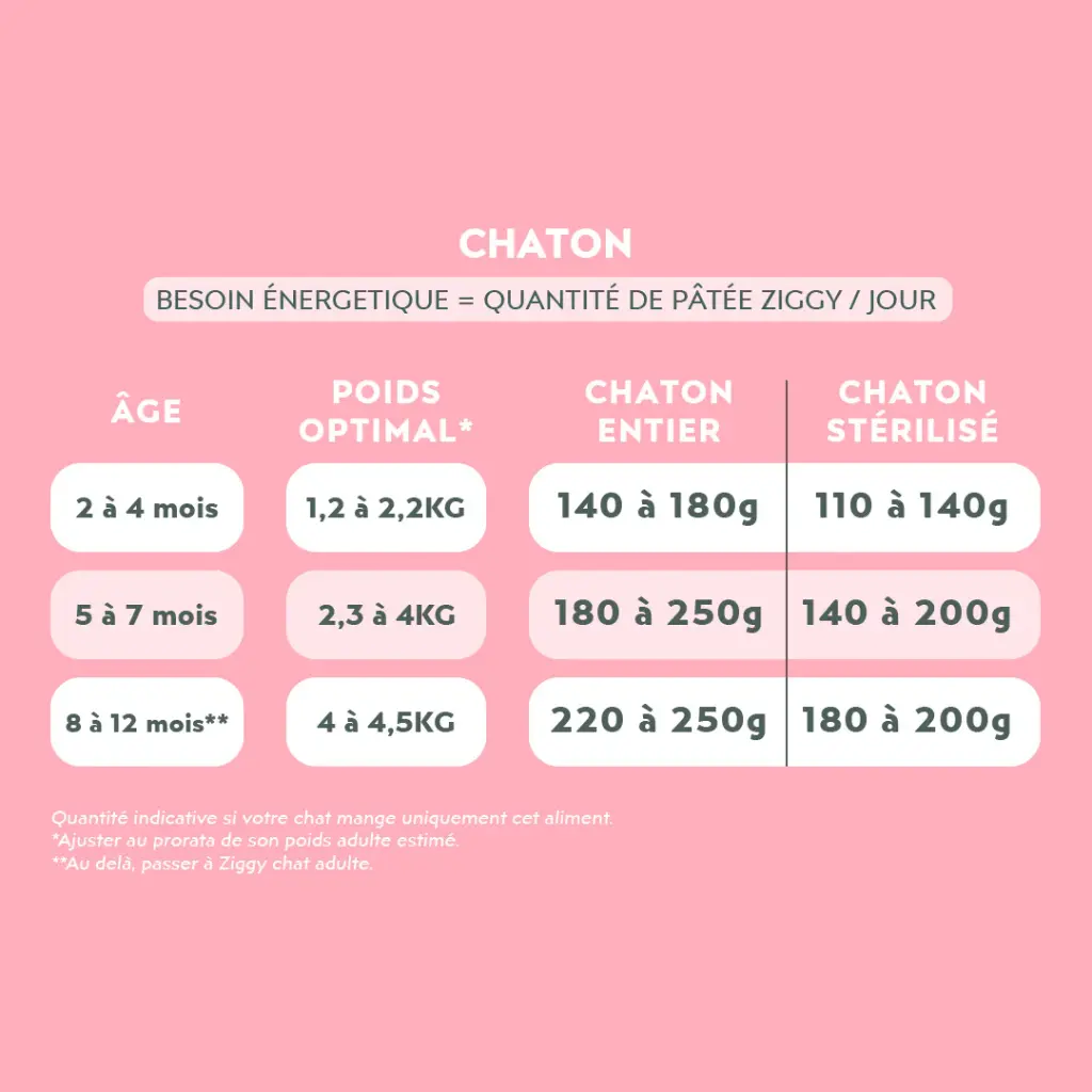 Pâtée chaton 5.webp