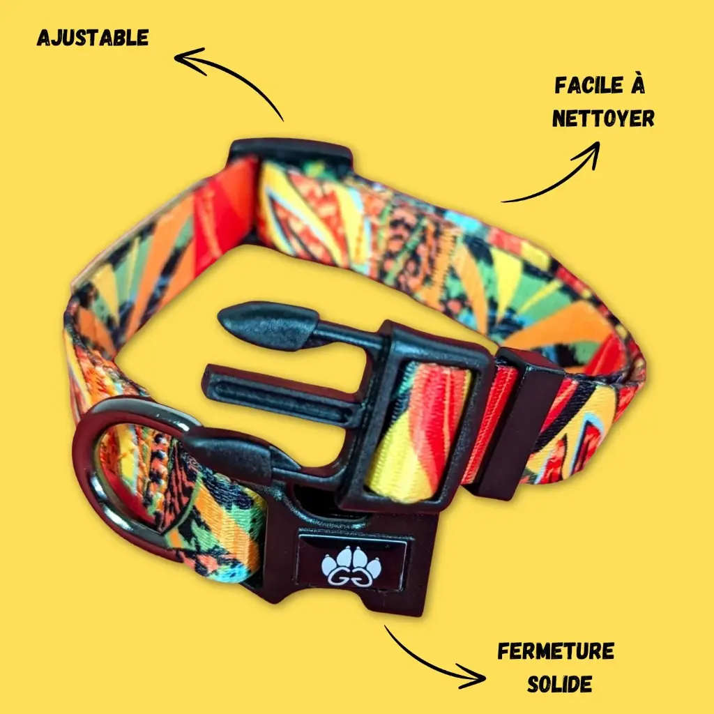 boucle-collier-chien-durable-et-colore-Tropical.webp