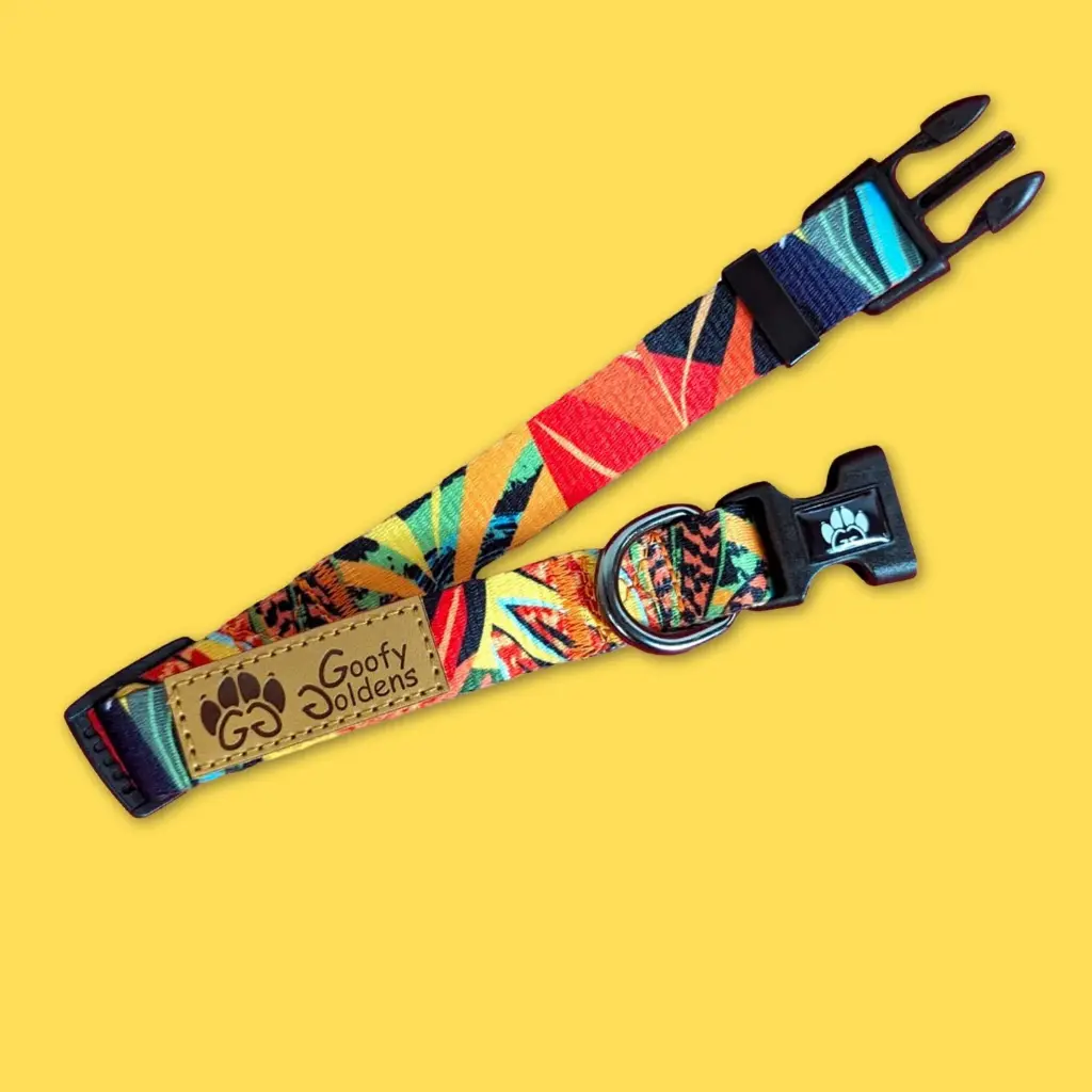 collier-chien-tendance-et-colore-Tropical-ouvert.webp