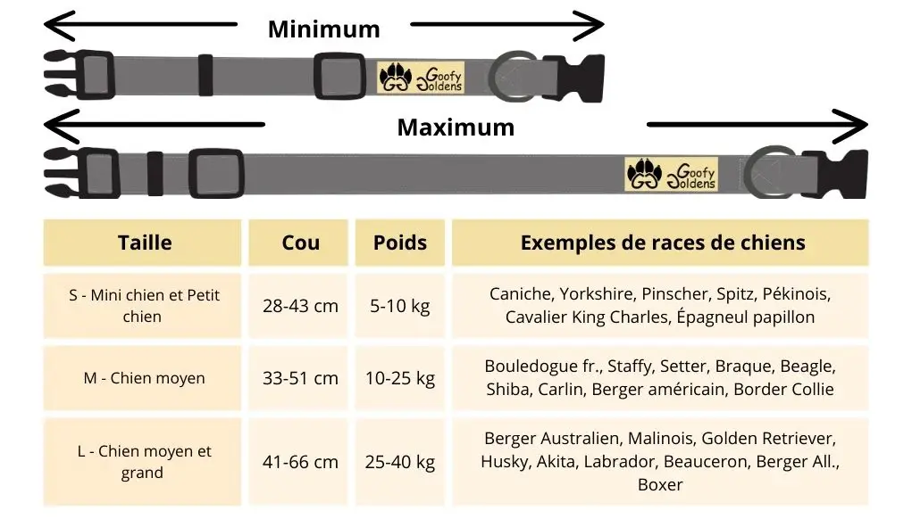 taille_collier_chien_polyester_ddae2ba0-74f5-4c75-acda-87b3829e8a35.webp
