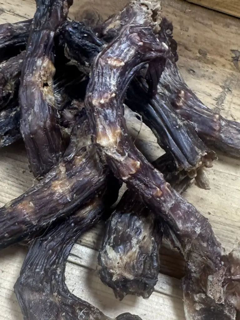 CANARD COU SECHE ZOOM.webp